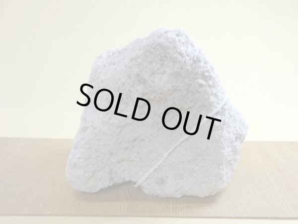 画像2: 抗火石 中(8) (2)