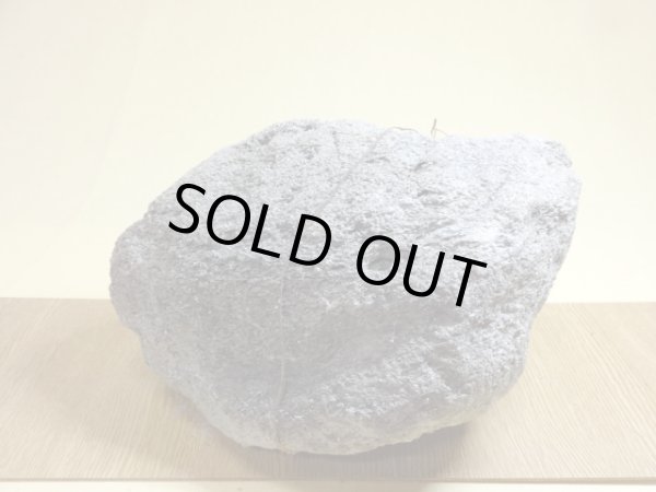 画像2: 抗火石 中(11) (2)