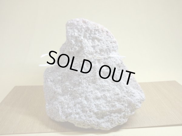 画像2: 抗火石 中(12) (2)