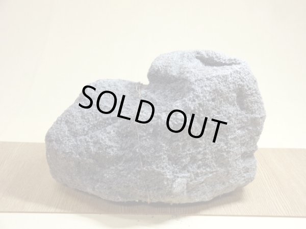 画像2: 抗火石 中(10) (2)