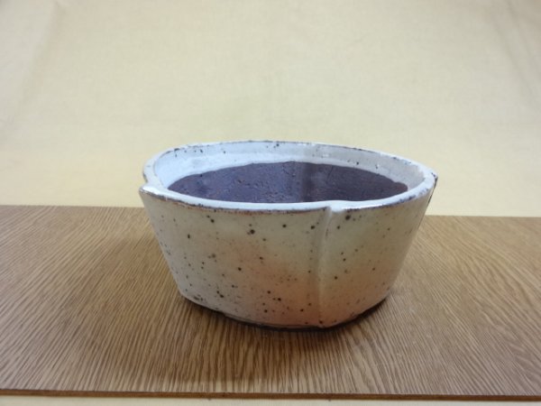 画像3: 5枚合せ鉢/4.5号/粉引 (3)