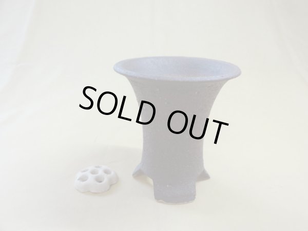 画像1: 岩石ウチョウラン鉢 4号(鉢底サナ付き) (1)