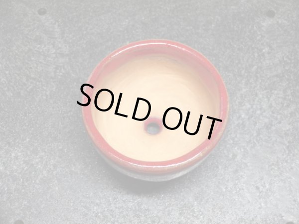 画像2: 鶏血小鉢(3) (2)