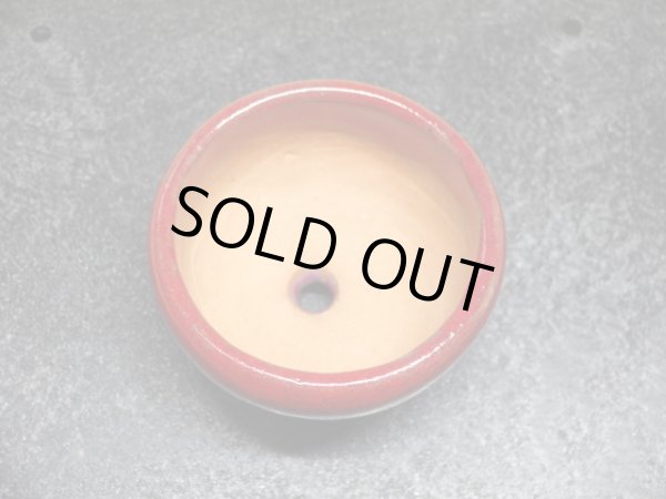 画像2: 鶏血小鉢(1) (2)