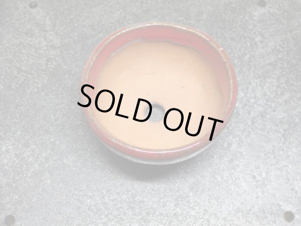 画像2: 鶏血小鉢(4) (2)