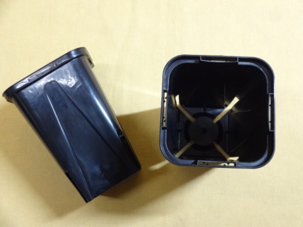 画像2: EG-75Lポット(100入) (2)