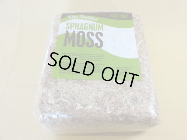 画像2: ニュージーランド産水苔AA(500g) (2)