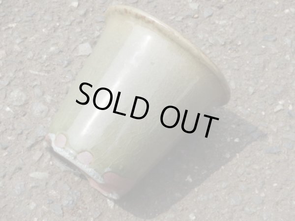 画像2: 伝市鉢 型ラン鉢天然土灰釉3号(7) (2)