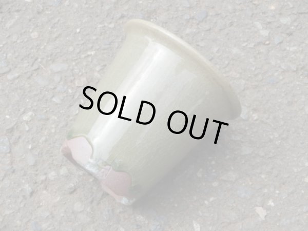 画像4: 伝市鉢 型ラン鉢天然土灰釉3号(1) (4)