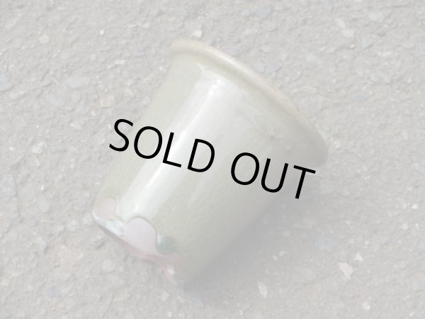 画像2: 伝市鉢 型ラン鉢天然土灰釉3号(10) (2)