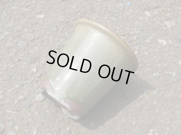 画像2: 伝市鉢 型ラン鉢天然土灰釉3号(3) (2)