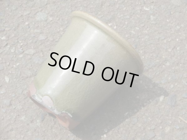 画像3: 伝市鉢 型ラン鉢天然土灰釉3号(8) (3)