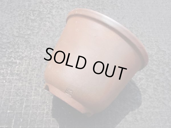 画像6: 伝市鉢 のぼり窯丸型5号(2) (6)