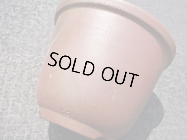 画像6: 伝市鉢 のぼり窯丸型5号(1) (6)