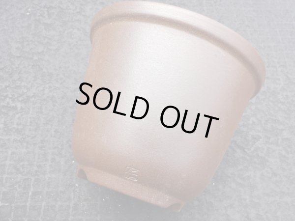 画像6: 伝市鉢 のぼり窯丸型5号(3) (6)