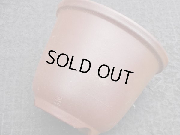 画像6: 伝市鉢 のぼり窯丸型5号(8) (6)