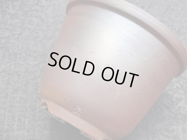 画像6: 伝市鉢 のぼり窯丸型5号(7) (6)