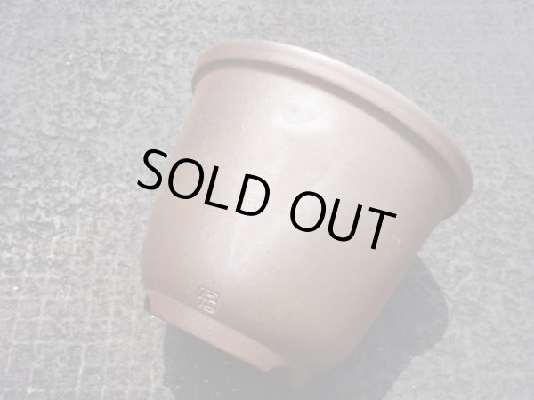 画像6: 伝市鉢 のぼり窯丸型5号(5) (6)