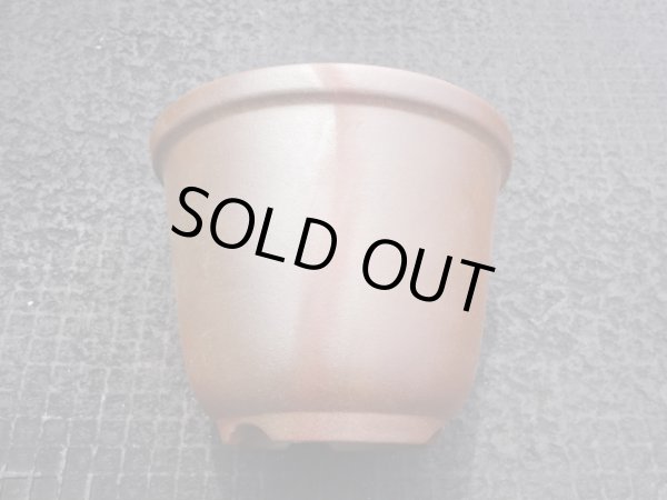 画像3: 伝市鉢 のぼり窯丸型5号(3) (3)