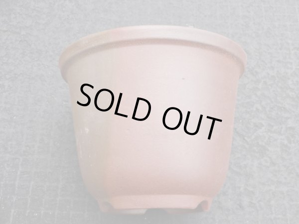 画像3: 伝市鉢 のぼり窯丸型5号(8) (3)