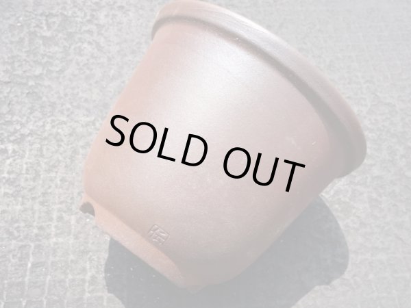 画像6: 伝市鉢 のぼり窯丸型5号(4) (6)