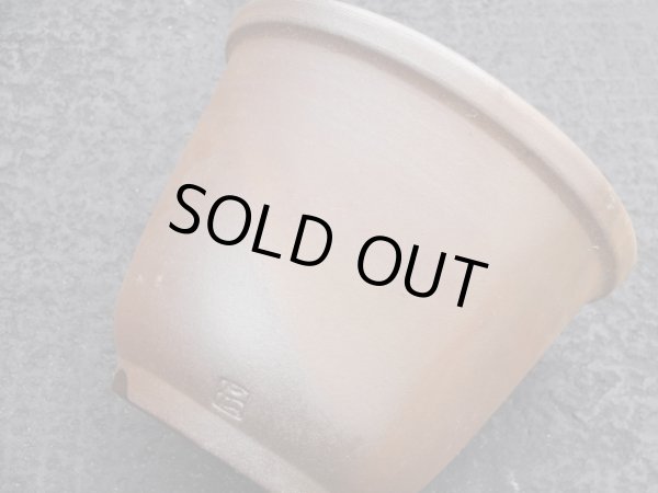 画像6: 伝市鉢 のぼり窯丸型5号(10) (6)