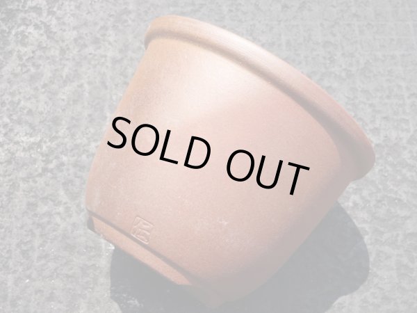 画像6: 伝市鉢 のぼり窯丸型4号(7) (6)