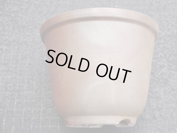 画像2: 伝市鉢 のぼり窯丸型5号(7) (2)