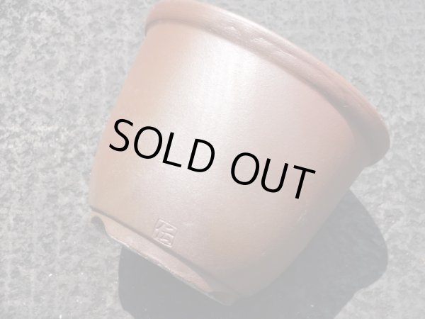 画像6: 伝市鉢 のぼり窯丸型4号(6) (6)