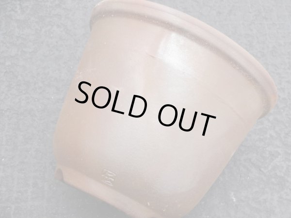 画像6: 伝市鉢 のぼり窯丸型5号(9) (6)