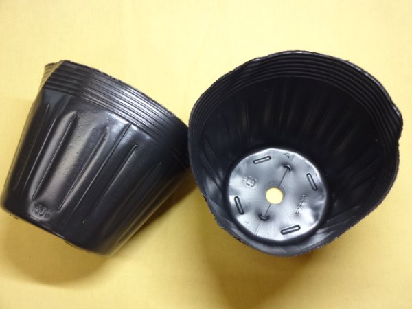 画像2: ノーマルポット黒丸150 (1入) (2)