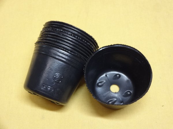 画像2: ノーマルポット黒丸50 (10入) (2)