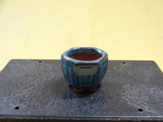 盆栽鉢（小品）の販売通販 (有)竹ノ花商事：原田園芸