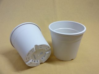 70726f647563742f32303231313230