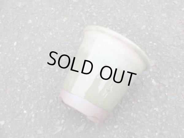 画像2: 伝市鉢 型ラン鉢天然土灰釉3.5号(4) (2)