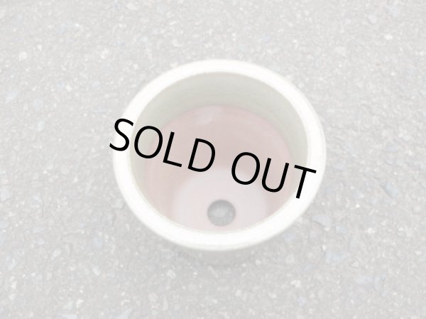 画像4: 伝市鉢 型ラン鉢天然土灰釉3.5号(3) (4)