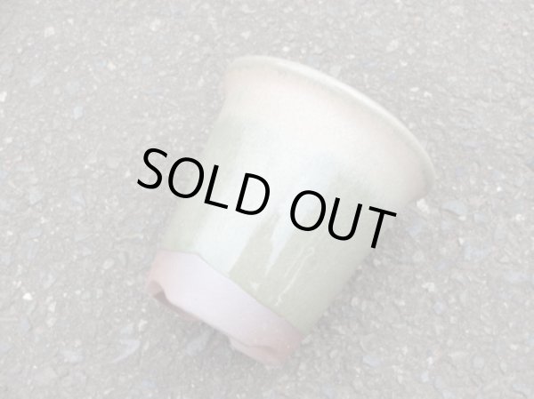 画像3: 伝市鉢 型ラン鉢天然土灰釉3.5号(5) (3)