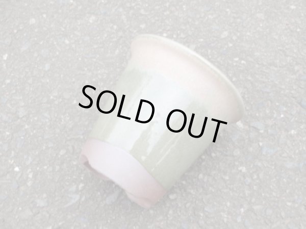 画像2: 伝市鉢 型ラン鉢天然土灰釉3.5号(5) (2)