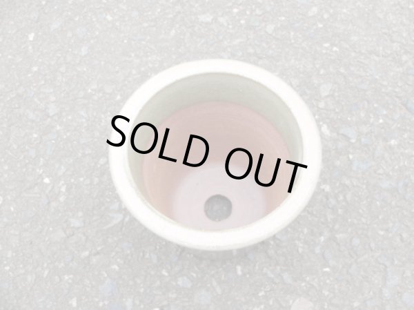 画像4: 伝市鉢 型ラン鉢天然土灰釉3.5号(5) (4)