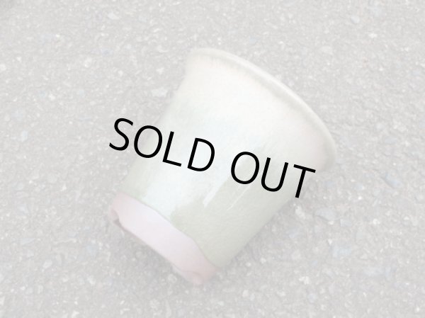 画像3: 伝市鉢 型ラン鉢天然土灰釉3.5号(3) (3)