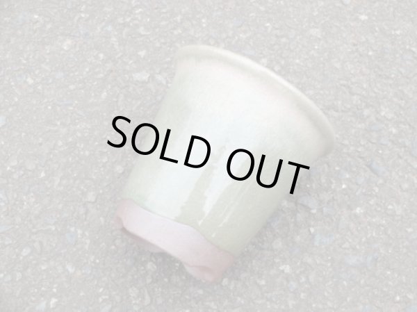 画像2: 伝市鉢 型ラン鉢天然土灰釉3.5号(1) (2)