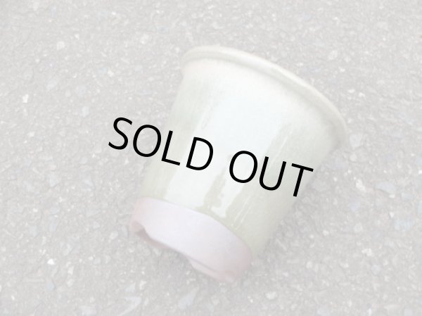 画像3: 伝市鉢 型ラン鉢天然土灰釉3.5号(4) (3)