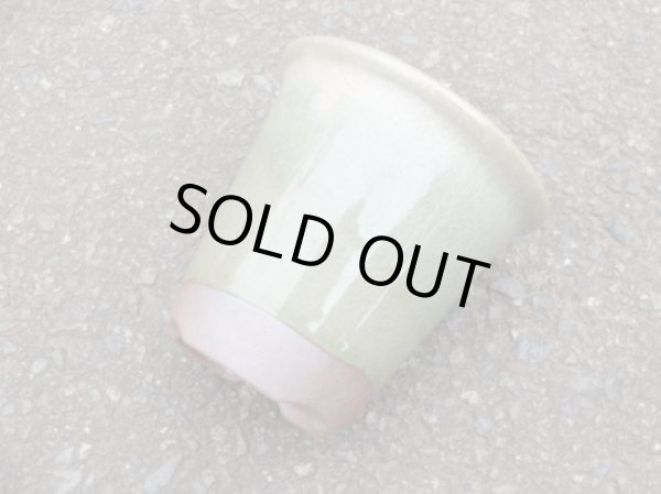 画像3: 伝市鉢 型ラン鉢天然土灰釉3.5号(1) (3)