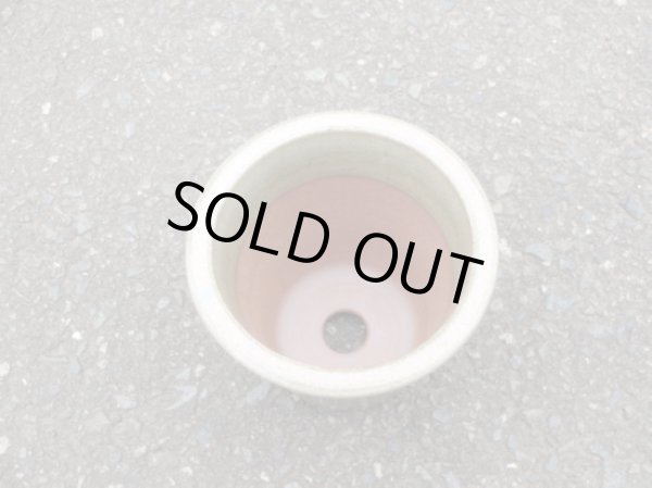 画像4: 伝市鉢 型ラン鉢天然土灰釉3.5号(4) (4)