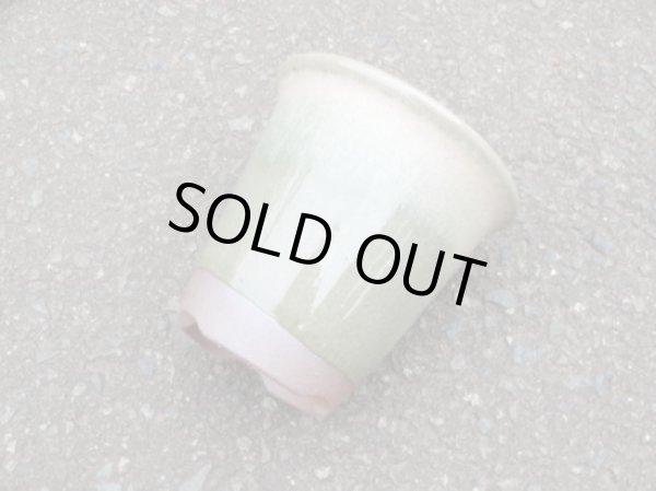 画像2: 伝市鉢 型ラン鉢天然土灰釉3.5号(3) (2)