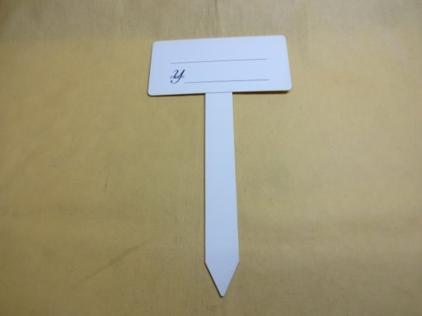 画像1: T型プライスカード(小) (1)