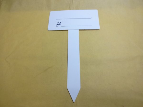 画像1: T型プライスカード(大) (1)