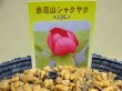 画像2: 赤花山シャクヤク 2芽(4) (2)
