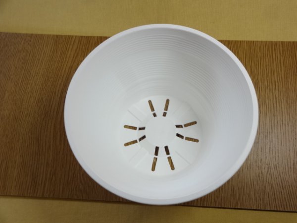 画像3: セラアート平鉢18号(白) (3)