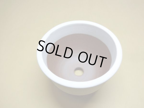 画像4: 伝市鉢 コウロ型白化粧3.5号 (4)